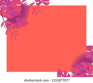 
background tropical leaves plastic pink, flower frame monstera ufo green, invitation card monstera proton purple 