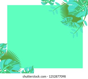 
background tropical leaves plastic pink, flower frame monstera ufo green, invitation card monstera proton purple 