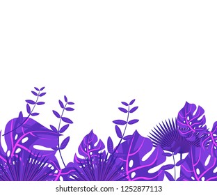 
background tropical leaves plastic pink, flower frame monstera ufo green, invitation card monstera proton purple 