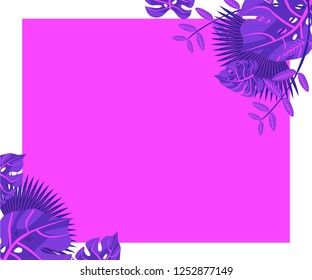 
background tropical leaves plastic pink, flower frame monstera ufo green, invitation card monstera proton purple 