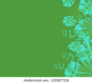 
background tropical leaves plastic pink, flower frame monstera ufo green, invitation card monstera proton purple 