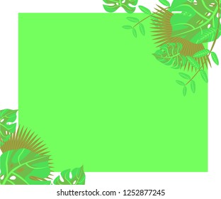 
background tropical leaves plastic pink, flower frame monstera ufo green, invitation card monstera proton purple 