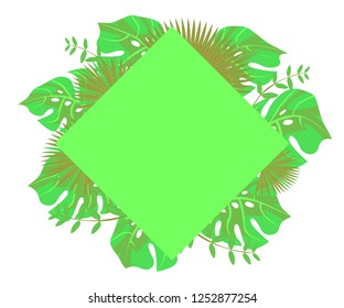 
background tropical leaves plastic pink, flower frame monstera ufo green, invitation card monstera proton purple 