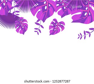 
background tropical leaves plastic pink, flower frame monstera ufo green, invitation card monstera proton purple 