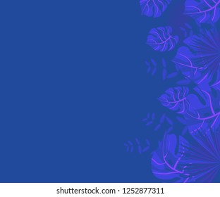 
background tropical leaves plastic pink, flower frame monstera ufo green, invitation card monstera proton purple 