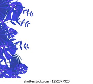 
background tropical leaves plastic pink, flower frame monstera ufo green, invitation card monstera proton purple 