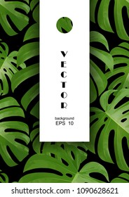 Background with tropical palm leaves. Exotic tropical plants. Illustration of jungle nature.