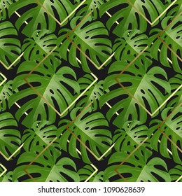 Background with tropical palm leaves. Exotic tropical plants. Illustration of jungle nature.