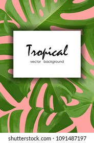 Background with tropical palm leaves. Exotic tropical plants. Illustration of jungle nature.