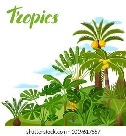 Background with tropical palm trees. Exotic tropical plants Illustration of jungle nature.