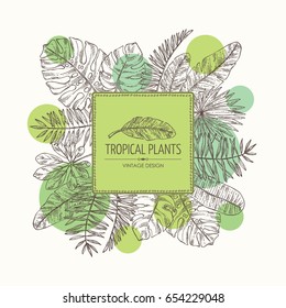Background with tropical plant and  tropical leaves. Vector hand drawn illustration