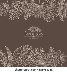 Background with tropical plant and  tropical leaves. Vector set hand drawn illustration.