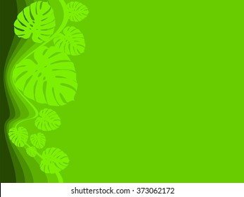 Background tropical plants