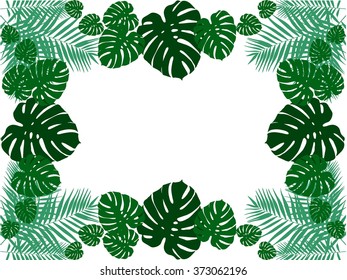 Background tropical plants