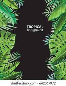 Background with tropical plants 