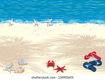 Background with tropical sand beach