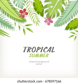 background tropical summer with palm branches exotic leaves and flowers hibiscus plumeria
