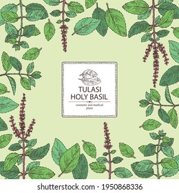 Background with tulasi: holy basil plant and tulasi leaves. Sacred plant. Cosmetic and medical plant. Vector hand drawn illustration