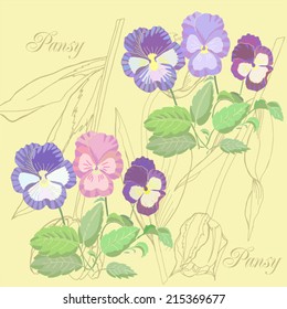 Background with tulip and color pansies. Vector illustration
