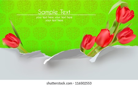 background with tulips