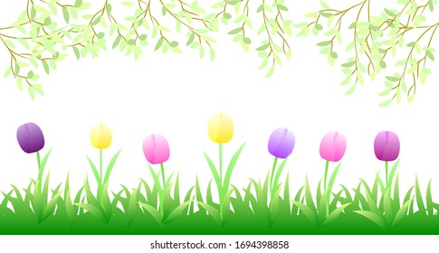 Background with tulips and fresh herbs. Elegant vector illustration.