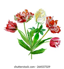 Background with tulips and roses.Vector Illustration