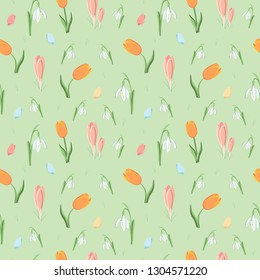 Background with tulips and snowdrops.vector illustration