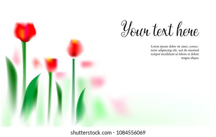 Background with tulips in watercolor and calligraphy text, white backdrop with contrast color paint stains