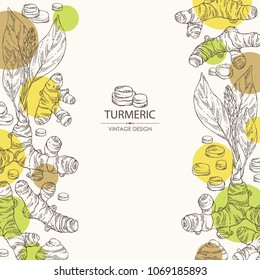 Background with turmeric: turmeric root and leaves. Vector hand drawn illustration.