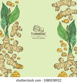 Background with turmeric: turmeric root and leaves. Vector hand drawn illustration.