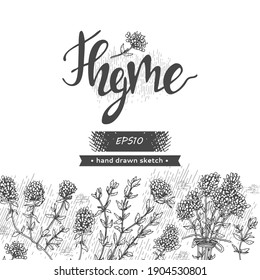 Background with twig of thyme with leaves and flowers and lettering Thyme. Detailed hand-drawn sketches, vector botanical illustration.