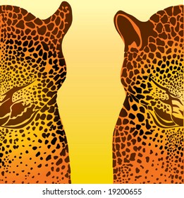 background with two leopards