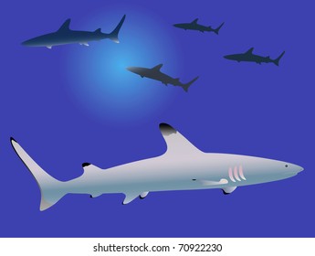 Background of underwater life with shark. Vector illustration.