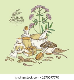 Background with valerian officinalis: valeriana flowers and root and oil, soap and bath salt . Cosmetics and medical plant. Vector hand drawn illustration