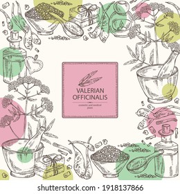 Background with valerian officinalis: valeriana flowers and root and oil, soap and bath salt . Cosmetics and medical plant. Vector hand drawn illustration