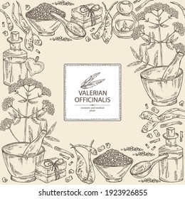 Background with valerian officinalis: valeriana flowers and root and oil, soap and bath salt . Cosmetics and medical plant. Vector hand drawn illustration