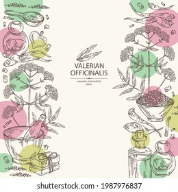 Background with valerian officinalis: valeriana flowers and root and oil, soap and bath salt . Cosmetics and medical plant. Vector hand drawn illustration