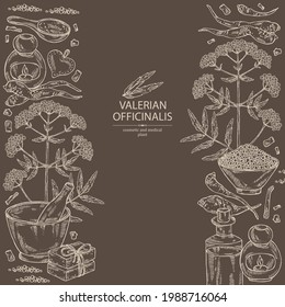 Background with valerian officinalis: valeriana flowers and root and oil, soap and bath salt . Cosmetics and medical plant. Vector hand drawn illustration