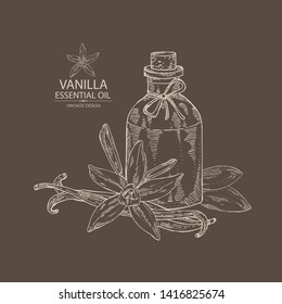 Background with vanilla and bottle of vanilla essential oil. Cosmetic, perfumery and medical plant. Vector hand drawn