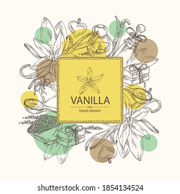 Arrière-plan avec vanille: gousse de fleurs et de vanille. Huile, savon et sel de bain. Cosmétique et usine médicale. Image vectorielle illustration dessinée à la main