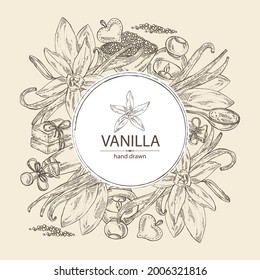 Arrière-plan floral et marmite à la vanille. huile de vanille, savon et sel de bain. Cosmétique et usine médicale. Image vectorielle illustration dessinée à la main