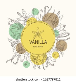 Background with vanilla: flower and vanilla pod . Vector hand drawn illustration