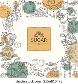 Background with varios shugar: beet sugar, cane sugar, stevia sugar. Vector hand drawn illustration.