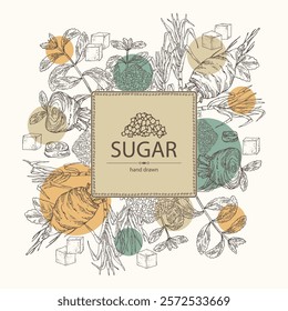 Background with varios shugar: beet sugar, cane sugar, stevia sugar. Vector hand drawn illustration.