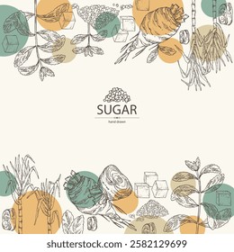 Background with varios shugar: beet sugar, cane sugar, stevia sugar. Vector hand drawn illustration.