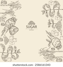 Background with varios shugar: beet sugar, cane sugar, stevia sugar. Vector hand drawn illustration.