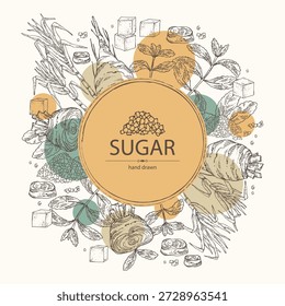 Fondo con varios azúcares: azúcar de remolacha, azúcar de caña, azúcar de stevia. Vector dibujado a mano ilustración.