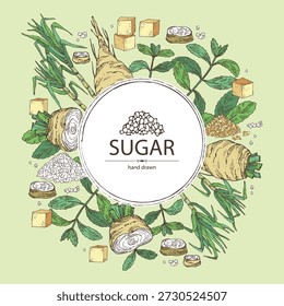 Fondo con varios shugar: azúcar de remolacha, azúcar de caña, azúcar de stevia. Vector dibujado a mano ilustración.