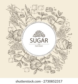 Background with varios shugar: beet sugar, cane sugar, stevia sugar. Vector hand drawn illustration.