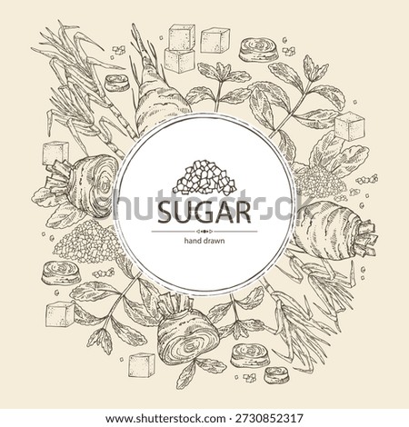 Background with varios shugar: beet sugar, cane sugar, stevia sugar. Vector hand drawn illustration.